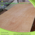Núcleo de madera de álamo o madera Dbbcc Grado 6.0mm Bintangor Plywood